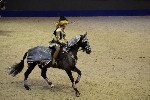 Quadrille - 00673